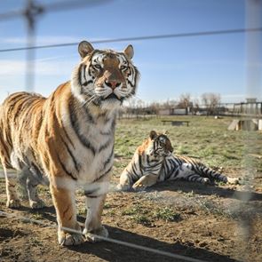 6 ενδιαφέρουσες σειρές &lt;em>ντοκιμαντέρ&lt;/em> του Netflix σε ένα επικό trailer