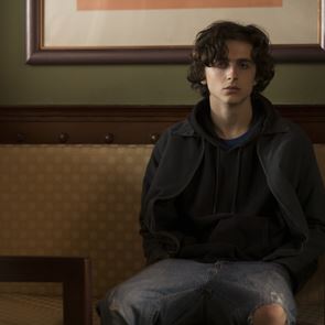Θα είναι το 2019 η χρονιά του Timothée Chalamet