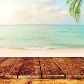 Οργανωμένες παραλίες, οι κανόνες λειτουργίας τους