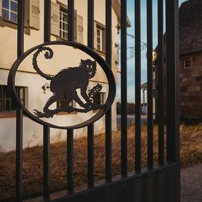 Monkey 47: Το μυστικό του Μέλανα Δρυμού