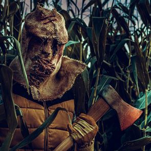 Ρεκόρ δολοφονιών υπέρμαχων του περιβάλλοντος