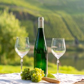 Τα πάντα για το Riesling