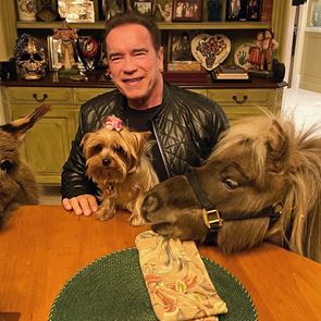 Celebrities σε καραντίνα, οι φωτογραφίες