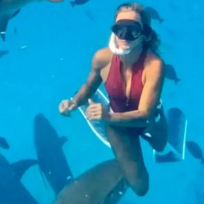 Εκατομμύρια άνθρωποι είδαν τον καρχαρία που δάγκωσε influencer (video