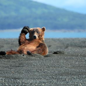 Οι καλές ειδήσεις μίας πολύ κακής χρονιάς
