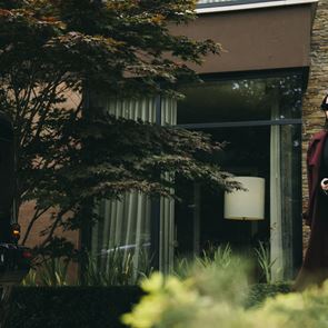 Μόλις είδαμε το πρώτο trailer του Bugonia, της νέας ταινίας του Γιώργου Λάνθιμου