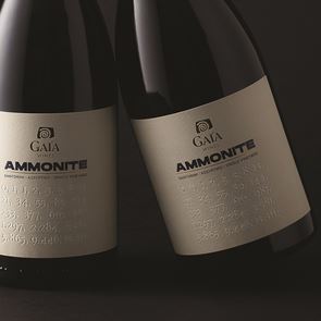 30 χρόνια εμπειρίας σε ένα Ασύρτικο