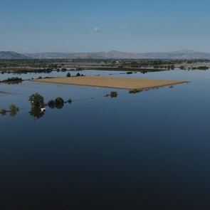 Οι επερχόμενες επιπτώσεις της κακοκαιρίας Daniel στην αλυσίδα τροφοδοσίας