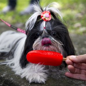 Ωραίο το <em>παγωτό</em>, αλλά πόσες ακριβώς θερμίδες έχει ανά γεύση;