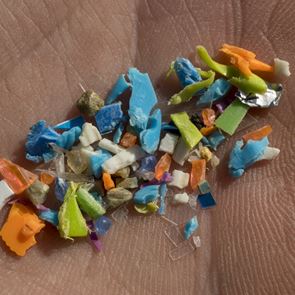 Μικροπλαστικά βρέθηκαν σε αντρικά γεννητικά όργανα και δυστυχώς δεν είναι πλάκα