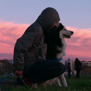Dogs: Η νέα σειρά του Netflix δείχνει πώς τα σκυλιά σε κάνουν καλύτερο άνθρωπο
