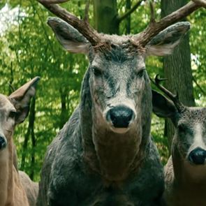Τι &#39;τρέχει&#39; με τα ελάφια στο &#39;Άσε τον Κόσμο Πίσω&#39; στο &lt;em>Netflix&lt;/em>