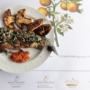 Για μια βραδιά στην Αθήνα: Ένα από τα πιο sui generis εστιατόρια της βόρειας &lt;em>Ελλάδας&lt;/em> σερβίρει στη Γλυφάδα