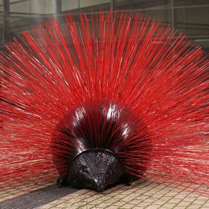 &quot;Enigma&quot;: Η ατομική έκθεση του Κωστή Γεωργίου στην Κωνσταντινούπολη