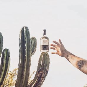 Τα mezcals του φθινοπώρου