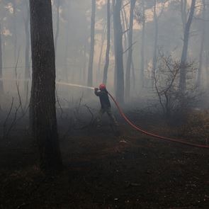 Σε εξέλιξη 56 πυρκαγιές στην &lt;em>Ελλάδα&lt;/em>