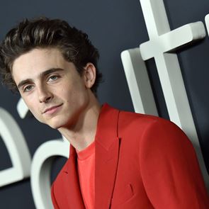 Η τολμηρή μονοχρωμία του Timothée Chalamet