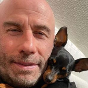 Οι φιλόζωοι διάσημοι του Χόλιγουντ