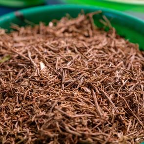 Λίγο Ashwaganda την ημέρα, το χρόνιο στρες κάνει πέρα