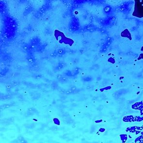 Σε άλλα νέα, μόλις ανακαλύψαμε 5.000 νέους θαλάσσιους ιούς