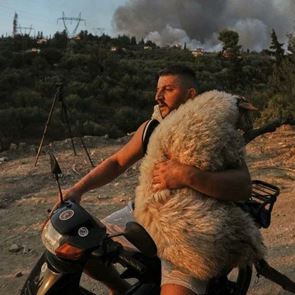 H viral φωτογραφία του 33χρονου που σώζει το πρόβατο πάνω στο μηχανάκι