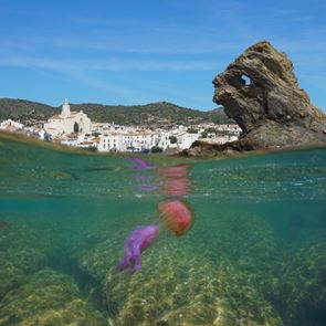 Μωβ μέδουσες: Ο χάρτης με τις πιο επικίνδυνες <em>παραλίες</em>