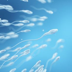 Τρία θρεπτικά συστατικά που κάνουν το σπέρμα ισχυρότερο