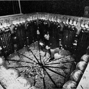 Άνθρωποι και ποντίκια: Το πείραμα του John Calhoun για το μέλλον του πολιτισμού