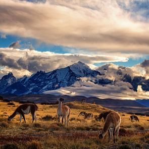 8 θαύματα της φύσης που πρέπει να δεις από κοντά στη ζωή σου