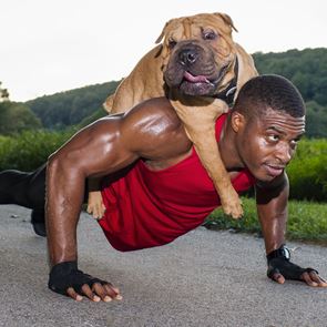 Γιατί ο σκύλος είναι ο καλύτερος προπονητής του ανθρώπου