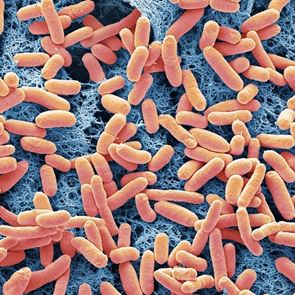 Βακτήρια παράγουν ενέργεια, το διαβάσαμε