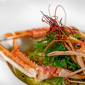 Ακροβόλι: Εκλεκτή ψαροφαγία στα νότια προάστια