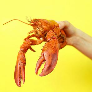 Ο αστακός και μία γαστρονομική σύγχυση