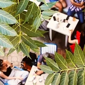 Τα μπαρ των αθηναϊκών αυλών