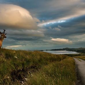 Στο σκωτσέζικο νησί Jura τα πάντα περιστρέφονται γύρω από το ουίσκι