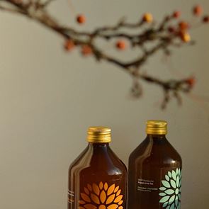 Κομπούτσα, ο μύκητας που όλοι θέλουν να δοκιμάσουν