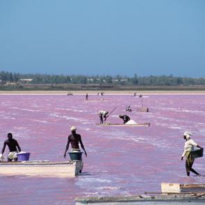 Ρέτμπα, η ροζ λίμνη της Σενεγάλης