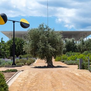 Το φθινοπωρινό πρόγραμμα του ΚΠΙΣΝ