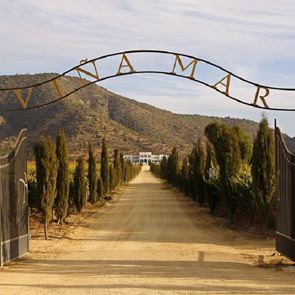 Χιλή: Ο επόμενος παράδεισος στον κόσμο του κρασιού