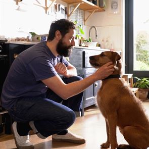 8 οφέλη που φέρνει ο σκύλος σου στη ζωή σου