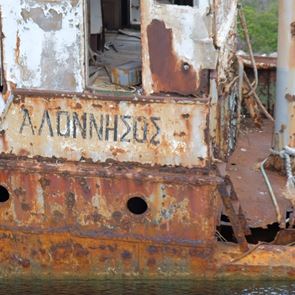 Η φώκια Κωστής έγινε &lt;em>ντοκιμαντέρ&lt;/em>