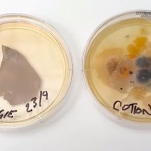 Άπλυτη μαξιλαροθήκη vs κάθισμα τουαλέτας: Πού κατοικούν περισσότερα βακτήρια