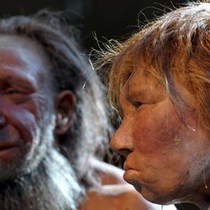 Νέα έρευνα αποκαλύπτει γιατί εξαφανίστηκαν οι Νεάντερνταλ