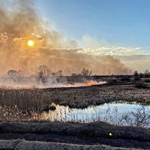 Ηφαίστεια, πυρκαγιές, ραδιενέργεια και ακρίδες