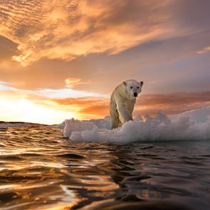 Η μεγαλύτερη αποστολή του κόσμου για την κλιματική αλλαγή στην Αρκτική