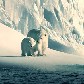 Κάποια από τα καλύτερα ντοκιμαντέρ του Netflix δωρεάν στο YouTube