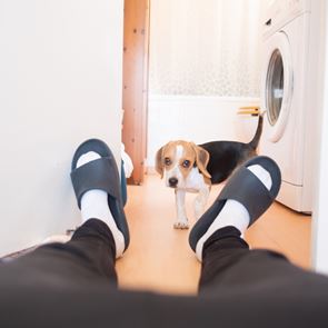 Πώς μπορείς να κάνεις το σπίτι σου να φαίνεται μεγαλύτερο