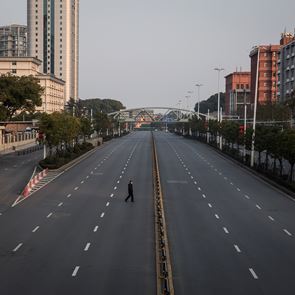 Αγορά άγριων ζώων στην Ουχάν &quot;γέννησε&quot; τον κορονοϊό