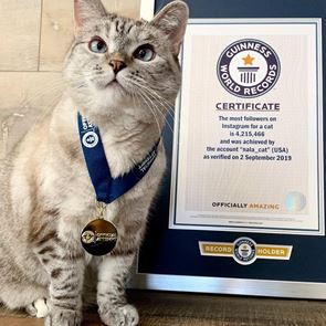 Αυτή είναι η πιο πλούσια γάτα στον κόσμο - Πόση είναι η περιουσία