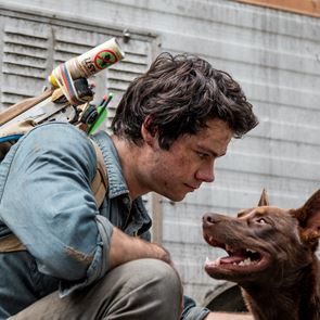 Οι καλύτερες ταινίες του &lt;em>Netflix&lt;/em> αυτή τη στιγμή